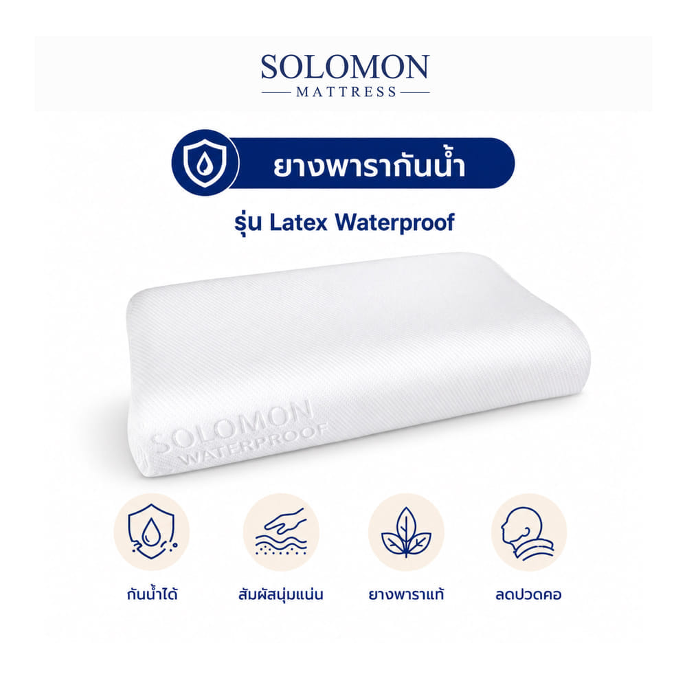 หมอนยางพารา SOLOMON ผ้ากันน้ำ รุ่น LATEX WATERPROOF_0